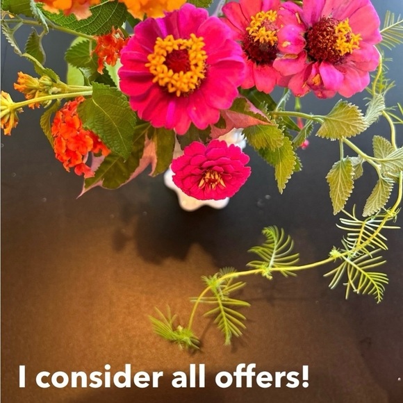 Native Unisex Jefferson slip on shoe. Size 10 Men size 12 women. Red with stars - Picture 12 of 12